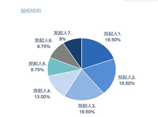 四川某人寿保险公司筹建申请（筹备中）